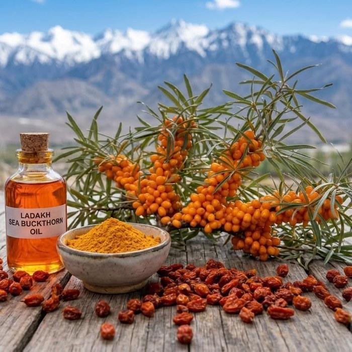 Ladakh sea buckthorn oil and berries with the Himalayas in the background